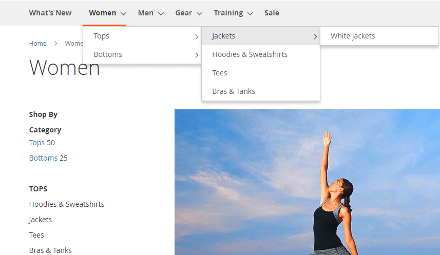 Linking between Categories/Subcategories is established through the site menu.