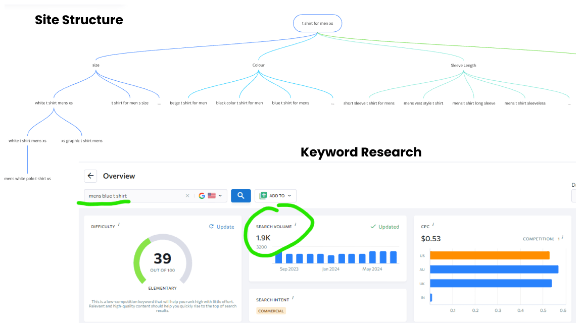 Shopify SEO Case Study